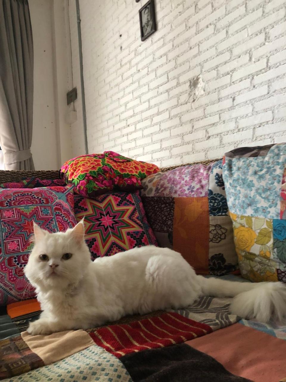 شيانغ ماي The Home Chiangmai Luxury Guesthouse المظهر الخارجي الصورة